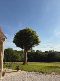 Gîte Le Clouvillou - La Chapelle-Aubareil - 7