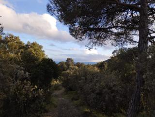 Masia Can Bavi - Tordera - 6