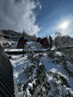 Çekirge Bungalov - Sakarya - 5