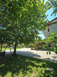 Villa Dimitrios - Vourvourou - 5