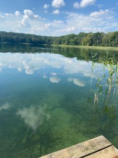 Fewo Luzin 2-5 Pers - Luxus, Steg, Boot - Rothehaus - 3