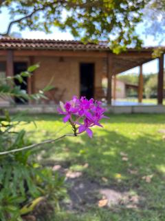 Vila das Mangabeiras Corumbau - 0