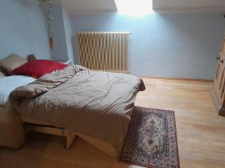 Chateau Probitz - apartmá na panském dvoře - - 3