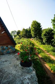 Heidi Bungalov - Pazar - 8