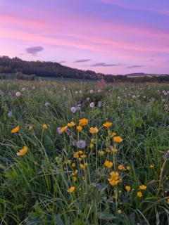 Ferienwohnung Lausche - 1
