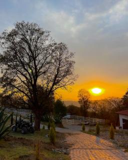 Rancho los Olivos Amealco - Amealco - 2