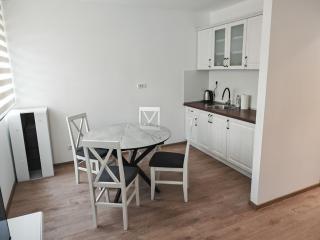 Mounthain LUX - Rudnik - 7