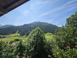 Ferienhaus Rieder - Wald im Pinzgau - 3