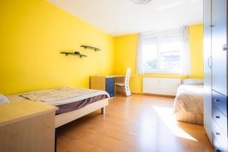 The Color Loft - 1