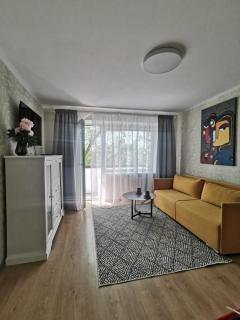 LINA apartment with balcony - Klaipėda - 9