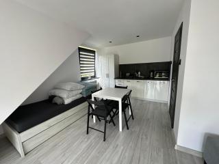 Domek Delux -komfortowe apartamenty, domki w Ojcowskim Parku Narodowym Z Jaccuzi - Wola Kalinowska - 1