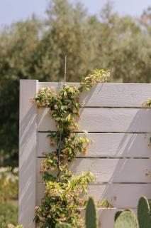 Portonovo Suites - Montacuto - 3