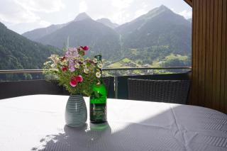 Appartement Carola - Sankt Gallenkirch - 3