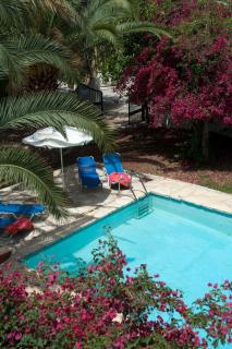 Villa Amaranta - Aglantzia - 4