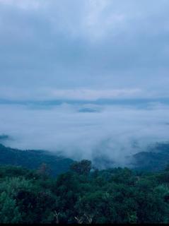 Anvi Eco Agro Resort - Kelghar - 3