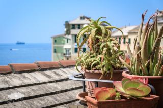La terrazzina sul mare - Bogliasco - 8