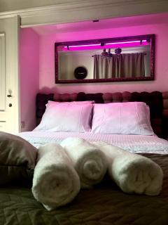 Executive en suite bedroom with private entrance and gym access - Diest - 4