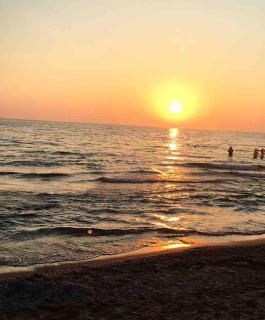 Alemar Collective Lavender studio by the sea - Agios Gordios - 2