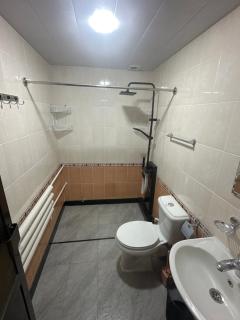 Tashkent courtyard nearby Airport 3 - Koshkurgan - 4