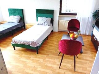 Urban Nest Prime 3BR with Spacious Hall & Kitchen apartment - Kelkheim - 7