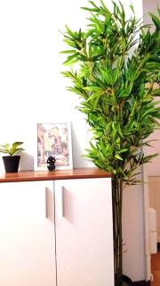 Urban Nest Prime 3BR with Spacious Hall & Kitchen apartment - Kelkheim - 4