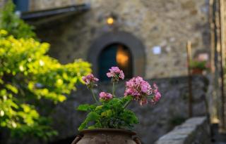 Autentica casa di compagna toscana - Gello - 2