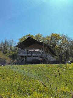 Beara Lodge Glamping - Beaworthy - 0