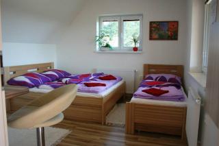 Pension Pod Palavů - Šakvice - 4