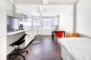 DeLuxe Studio Rénové, Parking Gratuit, MULHOUSE CENTRE - Mulhouse - 9
