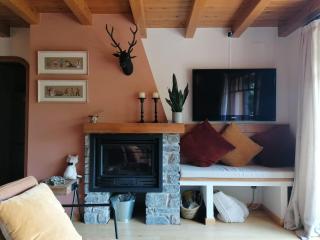Casa Olivia - Esterri d'Àneu - 4