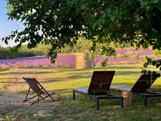 Mas du 18e siècle au calme entouré de champs de lavandes - Pierrerue - 1