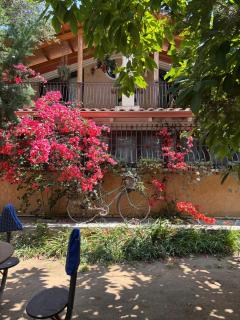VILLINO TROCCOLI, appartamento Morena - Marina di Camerota - 1