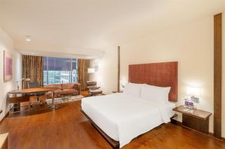 Radisson Blu Plaza Hotel Hyderabad Banjara Hills - 1