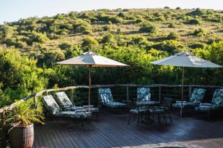 Lalibela Game Reserve Mark's Camp - Paterson - 4