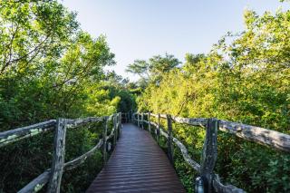Lalibela Wildlife Reserve Mark's Camp Family Lodge - 6