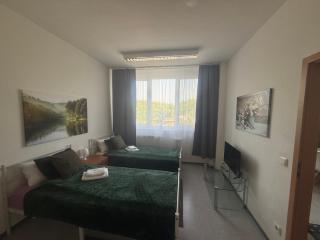 Ferienwohnung Mainz Bahnhof - Mayence - 6