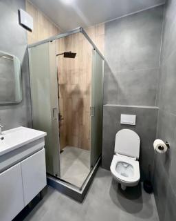 Best location - Crăsnăşeni - 1