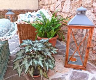 The Roses Garden - La Maddalena - 4