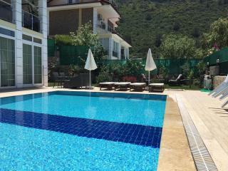 Alpine Villa at Hisarönü Ölüdeniz Ovacık Fethiye 6+2, 12 People - Fethiye - 6