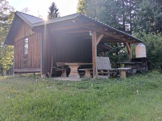 Hidden Cabin near Kočevje - Kočevje - 4
