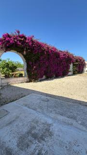 Il Giardino del Priore Dimora Rurale - Ugento - 7