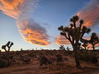 Soak at Boulder Cove - Yucca Valley - 5