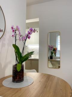 Ridis Studio Athens - Athen - 6