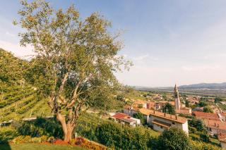 Ca' Lorenza Valdobbiadene Tera Nova - Valdobbiadene - 4