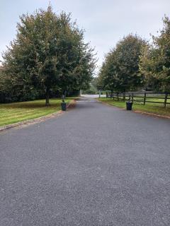 Treasa's Garden Lodge - Cappoquin - 2