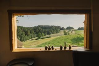 Ladybug Eco House - - 6