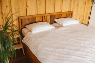 Ladybug Eco House -  - 9