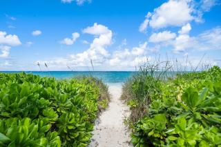 Sandbox Studio at Love Beach- Beachfront! - Nassau - 2