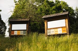 Ladybug Eco House - 3
