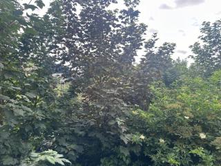 Riverside Homestay - Dublino - 4